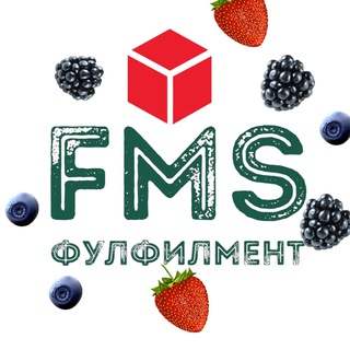 Логотип FMS ФУЛФИЛМЕНТ
