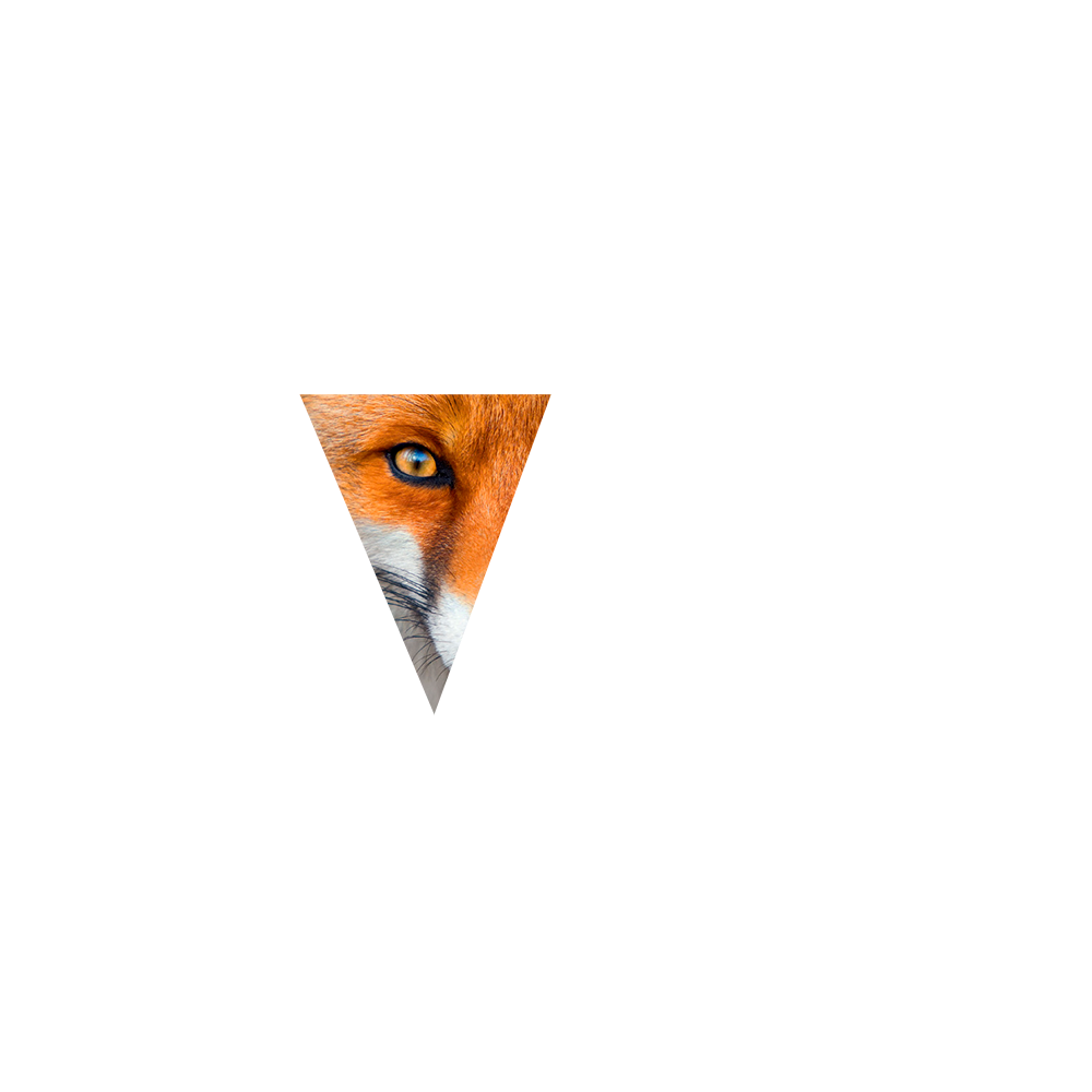 Логотип Goldfox